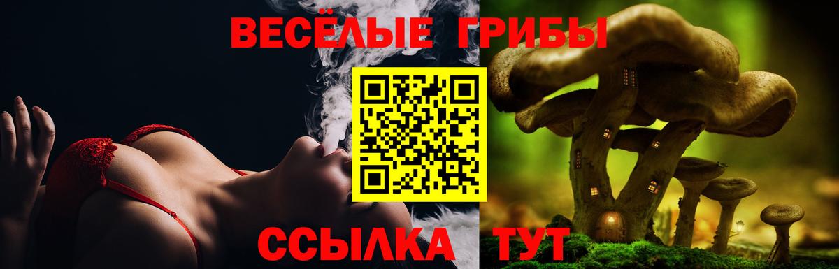 Псилоцибиновые грибы Psilocybine cubensis Азов